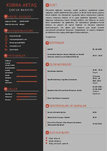 Çocuk Bakıcısı CV Örnekleri cv indir